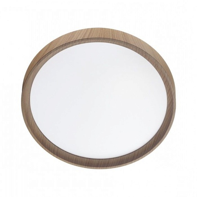 Настенно-потолочный светодиодный светильник Sonex Woodi 7603/DL Фото № 