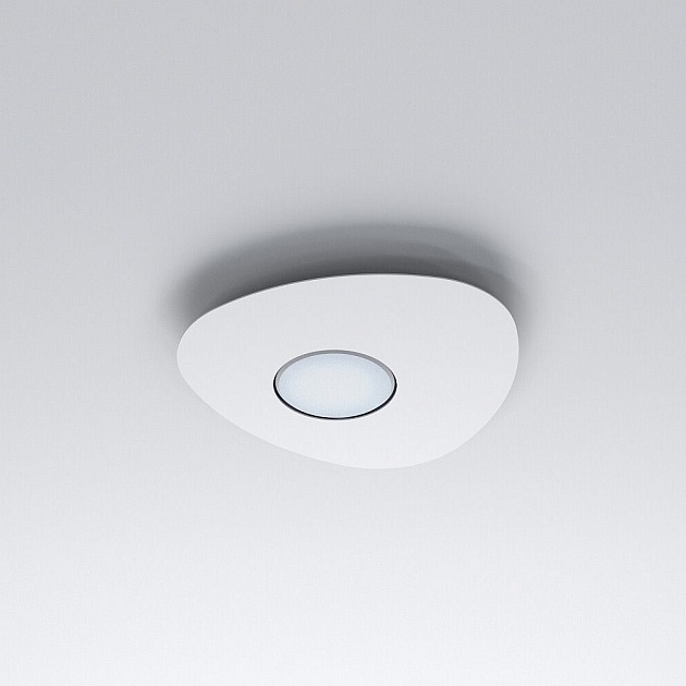 Потолочный светильник Nowodvorski Organic 8305 изображение 2 Потолочный светильник Nowodvorski Organic 8305 Фото № 2