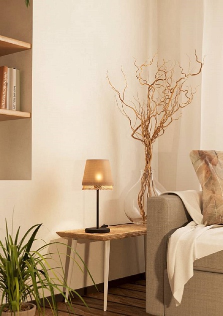 Настольная лампа Eglo Tabley 43977 Фото № 4