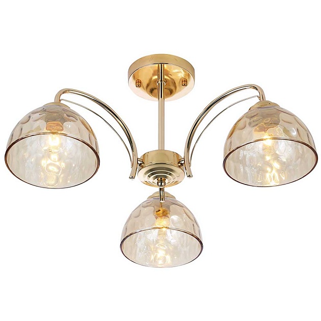 Потолочная люстра Rivoli Terri 9172-303 Б0060988 изображение Потолочная люстра Rivoli Terri 9172-303 Б0060988 Фото №