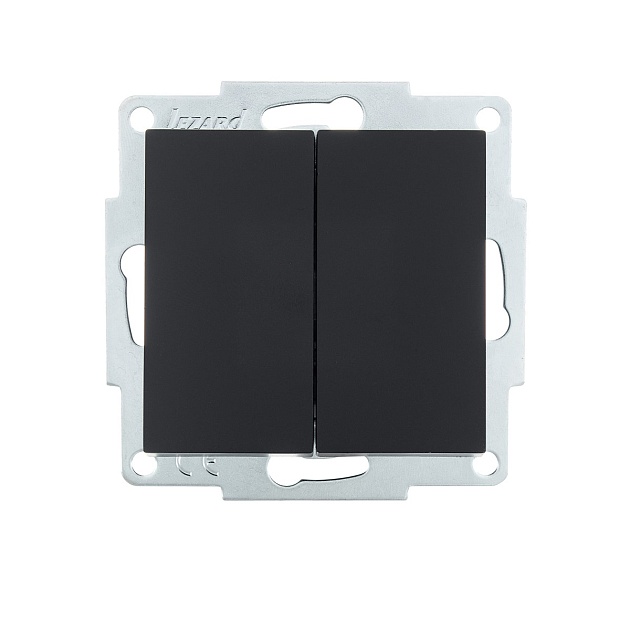 Выключатель двойной Lezard Vesna черный 742-4288-101 изображение Выключатель двойной Lezard Vesna черный 742-4288-101 Фото №