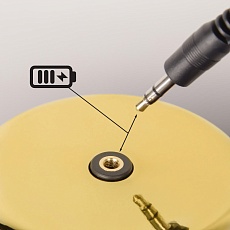 Настольная лампа Loft IT Brothers 10233/B Gold 2