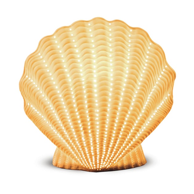 Настольная лампа Apeyron Ракушка с жемчужиной 18-105 изображение 4 Настольная лампа Apeyron Ракушка с жемчужиной 18-105 Фото № 4