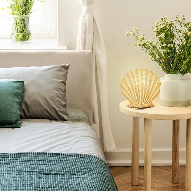 Настольная лампа Apeyron Ракушка с жемчужиной 18-105 изображение 6 Настольная лампа Apeyron Ракушка с жемчужиной 18-105 Фото № 6