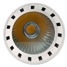 Трековый светодиодный светильник Jazzway PTR 0330 5010598 4