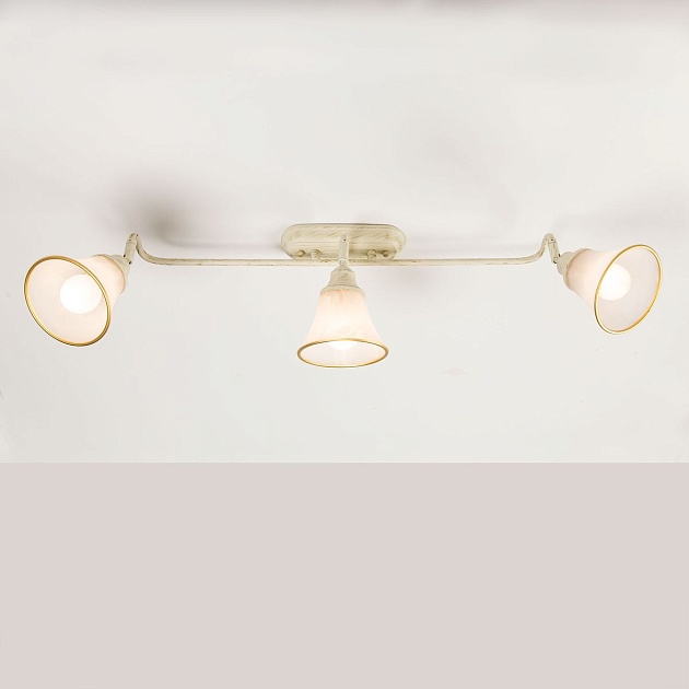 Спот Citilux Прованс CL511534 изображение 6 Спот Citilux Прованс CL511534 Фото № 6