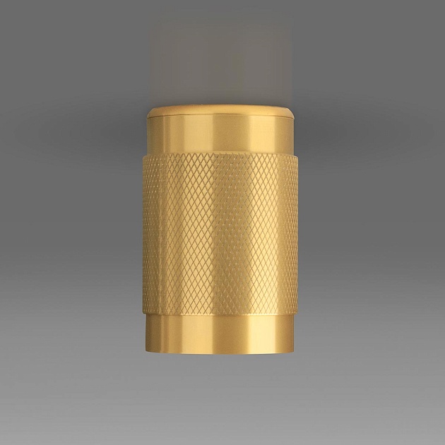 Потолочный светильник Elektrostandard Tony DLN109 GU10 золото a047741 изображение 3 Потолочный светильник Elektrostandard Tony DLN109 GU10 золото a047741 Фото № 3