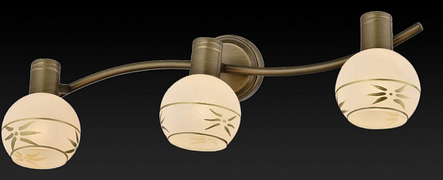 Спот Toplight Sharleen TL3790Y-03AB Фото № 2