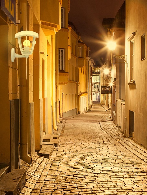 Уличный настенный светильник Apeyron Дели 11-150 изображение 4 Уличный настенный светильник Apeyron Дели 11-150 Фото № 4