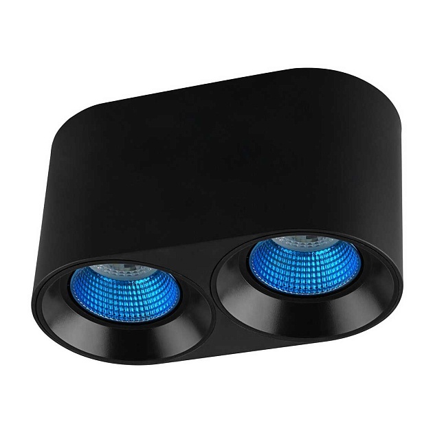 Потолочный светильник Denkirs DK3020BСY DK3096-BK+CY Фото № 