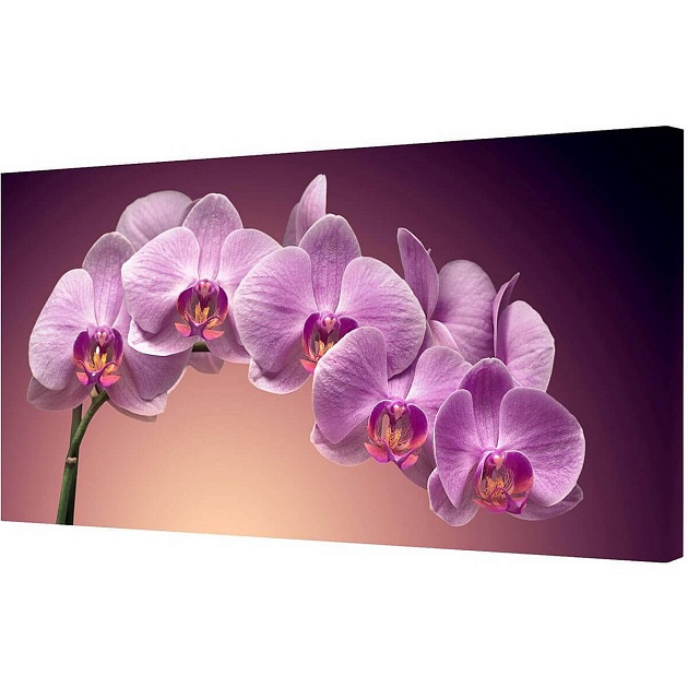 Холст Toplight 50х100х3см TL-H0003 Фото № 