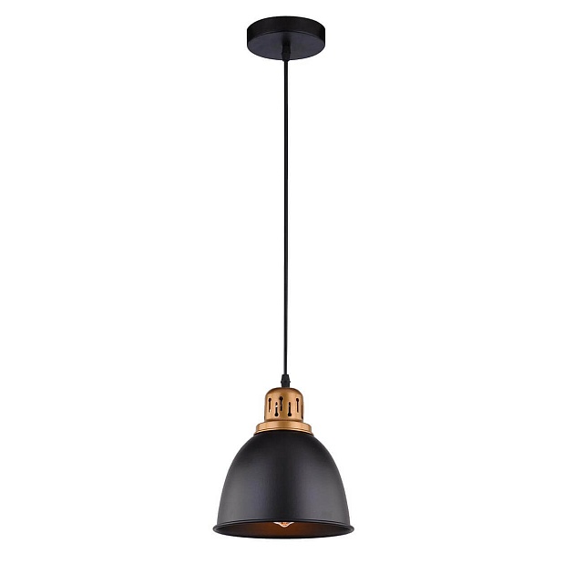 Подвесной светильник Arte Lamp Eurica A4245SP-1BK Фото № 