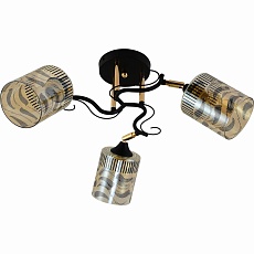 Потолочная люстра Reluce 11313-0.3-03 BK+FGD 1