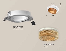 Комплект встраиваемого спота Ambrella light Techno Spot XC (C7651, N7195) XC7651064 1