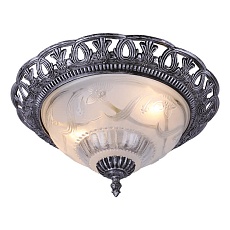 Потолочный светильник Arte Lamp Piatti A8001PL-2SB 3