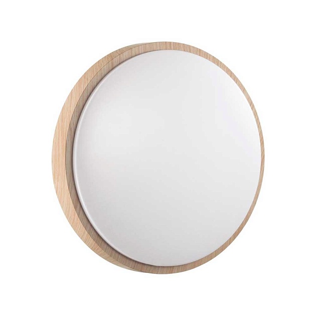 Настенно-потолочный светодиодный светильник Sonex Losta 7607/EL Фото № 3