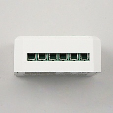 Смарт-реле Citilux 2-х канальное CLR02 Smart Relay 3