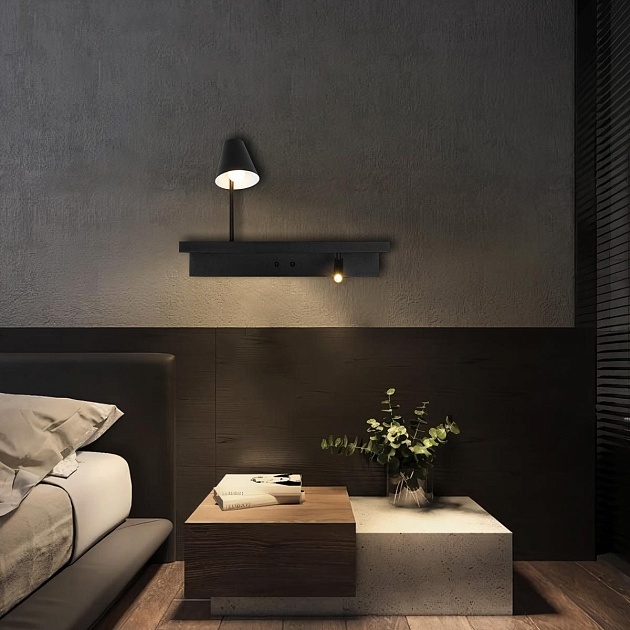 Настенный светильник Loft IT Shelf 10216/2W Black изображение 9 Настенный светильник Loft IT Shelf 10216/2W Black Фото № 9