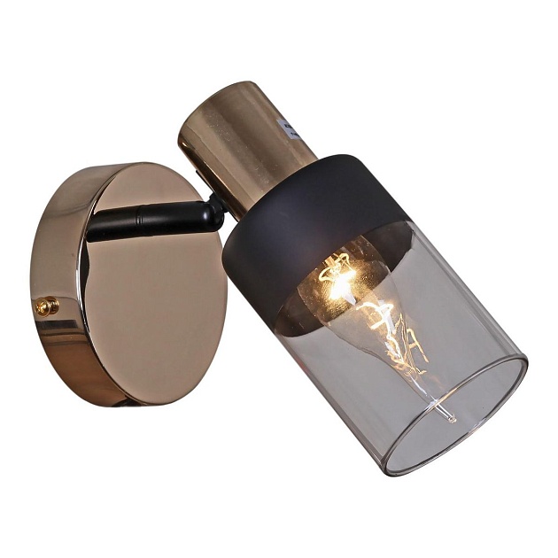 Спот Reluce 05903-0.8-01 BK+FGD Фото № 