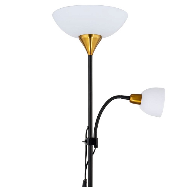 Торшер Arte Lamp Duetto A9569PN-2BK Фото № 5