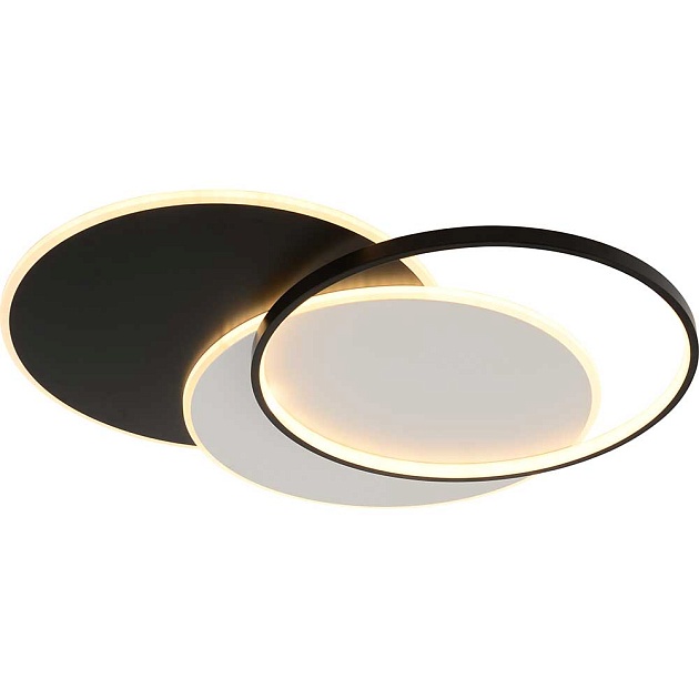 Потолочный светильник Rivoli Julia 6080-401 Б0061832 Фото № 