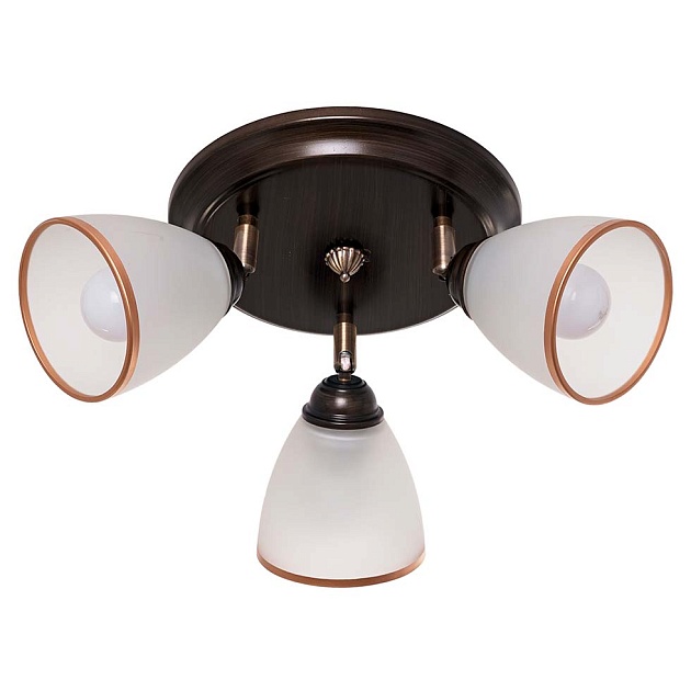 Спот ЭкономСвет 11645/3WENGE WT Фото № 