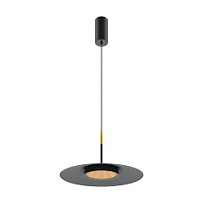 Подвесной светодиодный светильник Maytoni El MOD041PL-L15B3K1