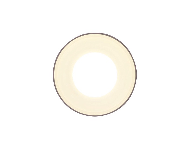 Потолочный светильник Ambrella light Techno TN3202 Фото № 3