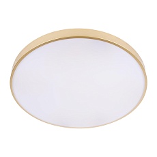 Потолочный светодиодный светильник Loft IT Flims 10228/B 2