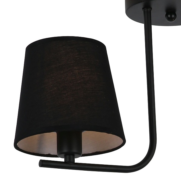 Потолочная люстра Illumico IL8134-2COU-79 BK Фото № 3