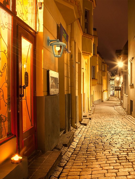 Уличный настенный светильник Apeyron Дели 11-154 Фото № 5