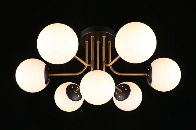 Потолочная люстра Aployt Ewka APL.906.17.07 Фото № 14