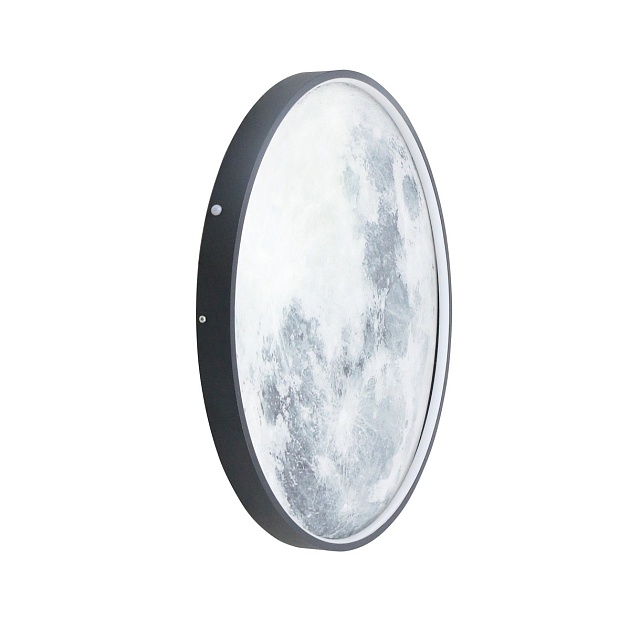 Настенный светодиодный светильник Lightstar Emisfero 737637 Фото № 