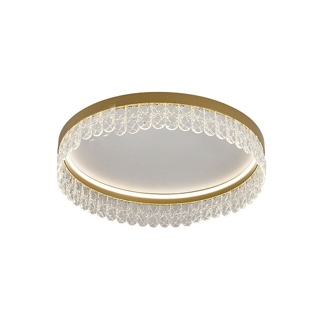 Потолочный светодиодный светильник F-Promo Lunetta 4186-1C Фото № 2