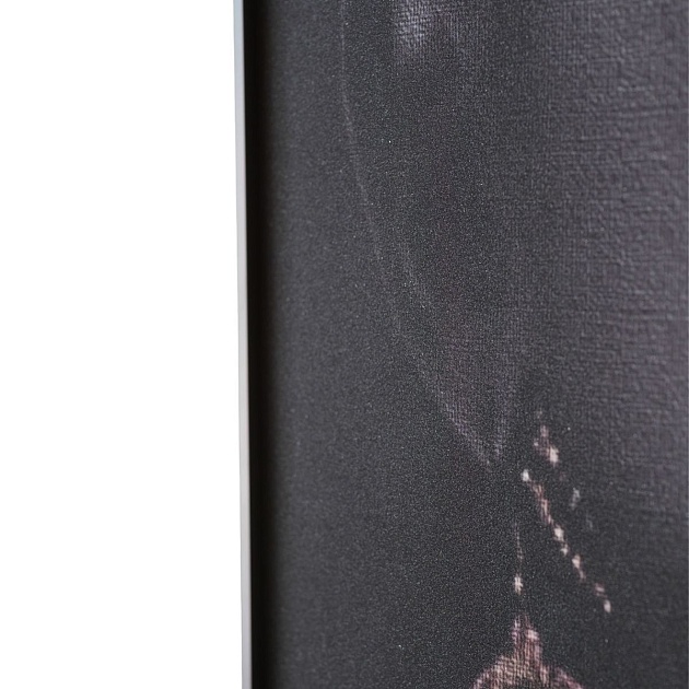 Картина Lumina Deco FP African Gold 80-120 Фото № 4