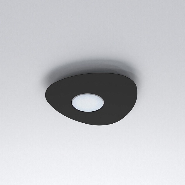 Потолочный светильник Nowodvorski Organic 8303 Фото № 2