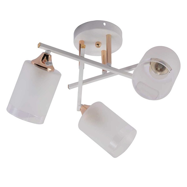 Потолочная люстра Rivoli Tammy 3162-303 Б0059258 изображение Потолочная люстра Rivoli Tammy 3162-303 Б0059258 Фото №