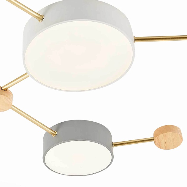 Потолочный светильник Evoluce DOSSENA SLE600102-06 изображение 2 Потолочный светильник Evoluce DOSSENA SLE600102-06 Фото № 2