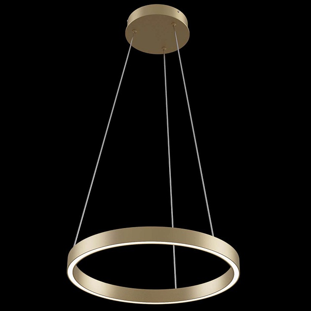 Подвесной светодиодный светильник Maytoni Rim MOD058PL-L22BS4K Фото № 2