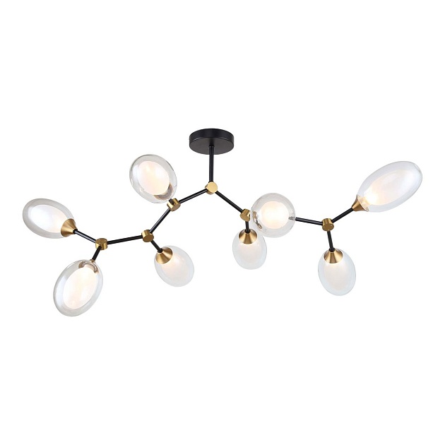 Потолочная люстра Lussole LSP-8882 Фото № 