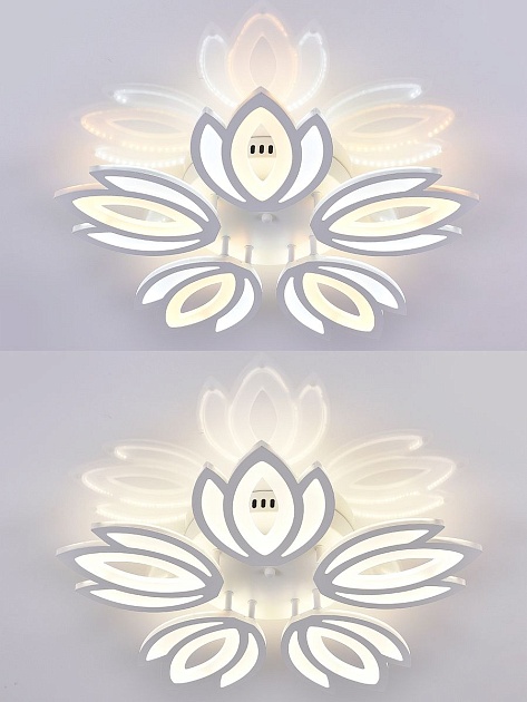 Потолочная светодиодная люстра Natali Kovaltseva Led Lamps 81124 Фото № 5