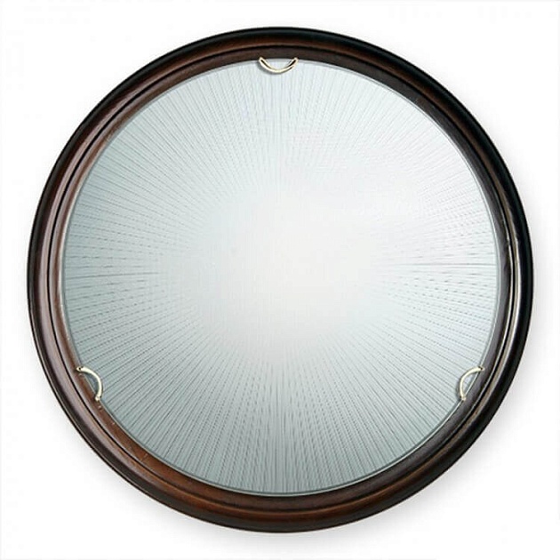 Настенно-потолочный светильник Vitaluce V6249/1A Фото № 