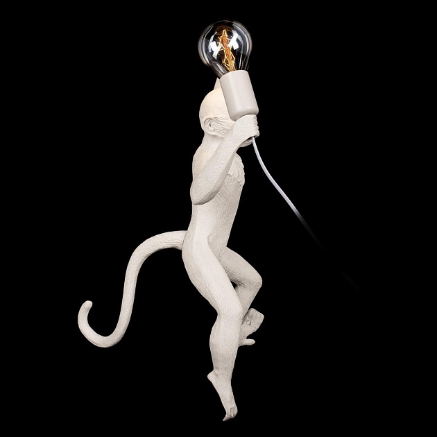 Настенный светильник Loft IT Monkey 10314W/A изображение 5 Настенный светильник Loft IT Monkey 10314W/A Фото № 5