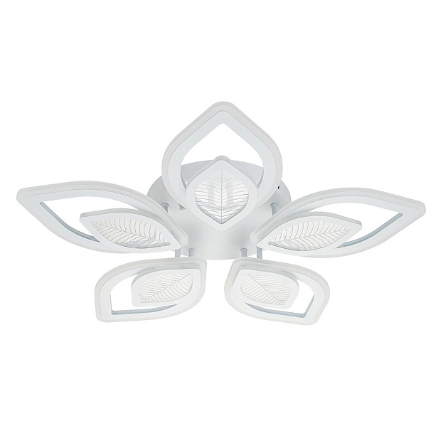 Потолочная светодиодная люстра Escada Anise 10288/10LED изображение Потолочная светодиодная люстра Escada Anise 10288/10LED Фото №