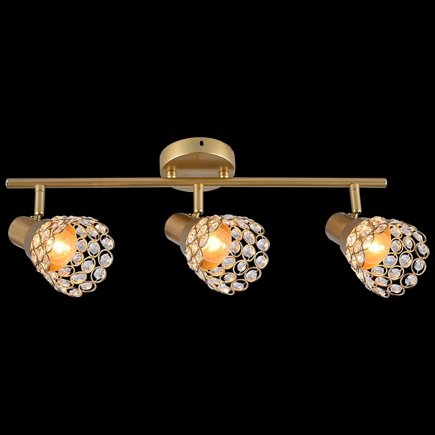 Спот Reluce 05954-0.8-03 GOLD изображение Спот Reluce 05954-0.8-03 GOLD Фото №