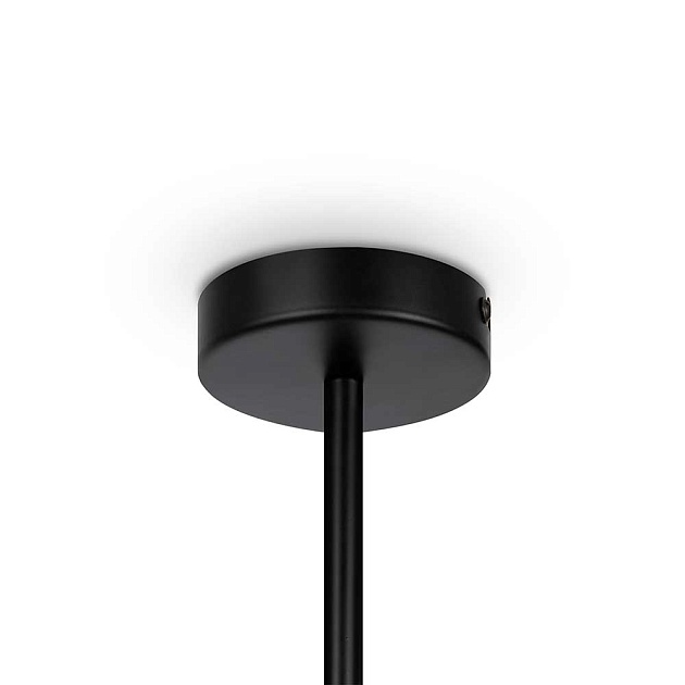 Подвесная люстра Maytoni Memory MOD177PL-04B Фото № 2