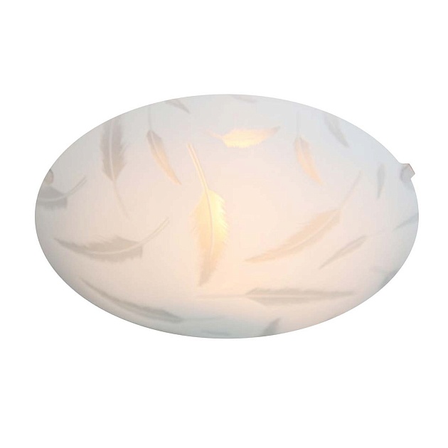 Настенно-потолочный светильник Apeyron 16-179 Фото № 