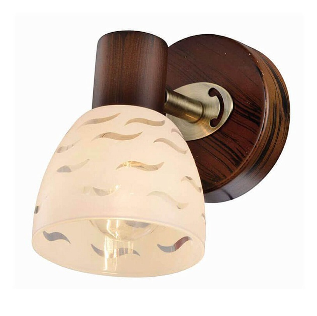 Спот Toplight Shayla TL3730Y-01BB Фото № 