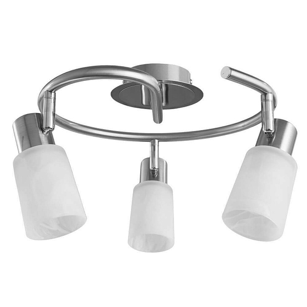 Спот Arte Lamp A4510PL-3SS Фото № 