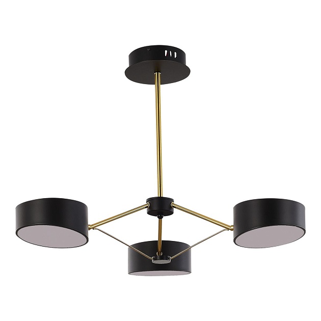 Потолочная светодиодная люстра Evoluce Valle SLE6005-402-03 Фото № 